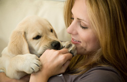 A blond woman holds a large tan puppy on her chest while it mouths her hand gently