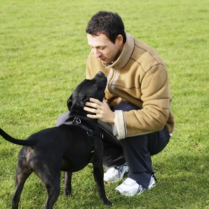 A man squats down to pet a medium sized black short haired dog, who looks up at him adoringly in a grassy area