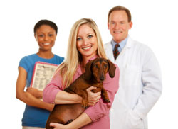 A smiling pet owner holds her brown dachshund in front of two veterinary professionals, against a white background