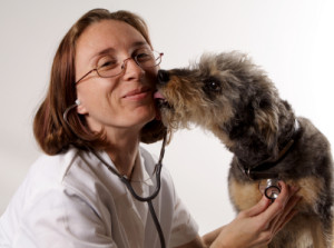 A shaggy dog licks the face of a smiling female veterinarian in a white coat with a stethoscope around her neck