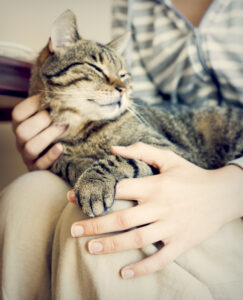A happy tabby cat lies in a woman's lap with one foot over one of the woman's fingers, while she scratches it's neck.